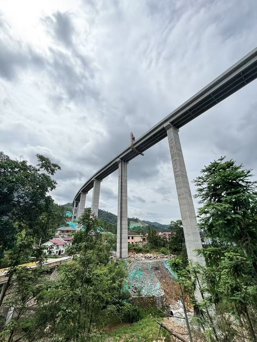 aa508a77590a9c171c41156c9ed3ab72.jpg